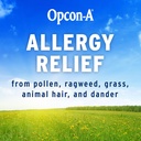 opcon-a-allergy-eye-drops-antihistamine--3.jpg