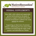 native-remedies-complete-sciatigon-combo-6.jpg