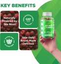 vitamatic-2-pack-irish-sea-moss-gummies--5.jpg