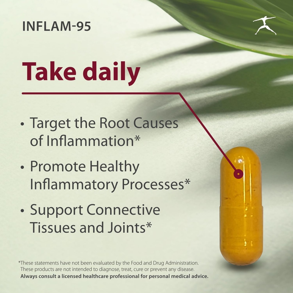 inflam-95---ginger-root-extract-2000-mg--2.jpg