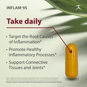 inflam-95---ginger-root-extract-2000-mg--2.jpg