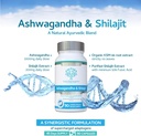 ashwagandha-shilajit---ashwagandha-ksm-6-3.jpg