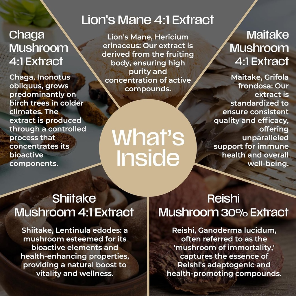 lions-mane-mushroom-supplement---premium-2.jpg
