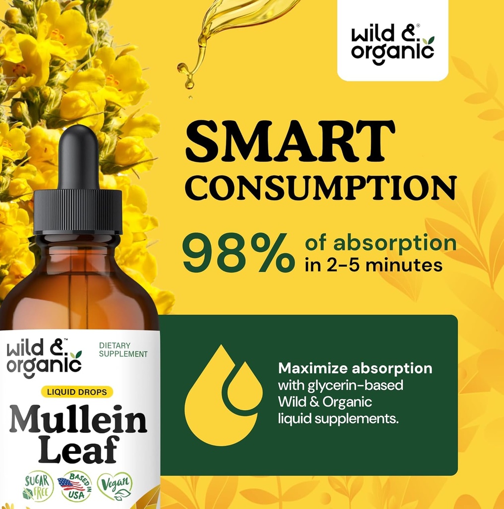 wild-organic-mullein-tincture---lung-cle-4.jpg