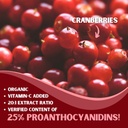 all-in-one-pac-bundle---cranberry-lingon-5.jpg