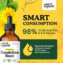 wild-organic-dandelion-root-extract-drop-4.jpg