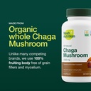 organic-chaga-mushrooms-strongest-dna-ve-3.jpg