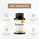 sandhus-berberine-hcl-supplement-500mg-p-4.jpg