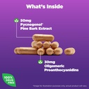 natrol-pycnogenol-capsules-antioxidant-p-3.jpg