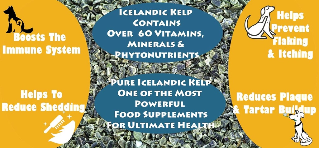 icelandic-kelp-meal-25lbs-6.jpg