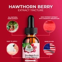 amazing-botanicals-hawthorn-berry-extrac-5.jpg
