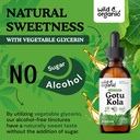 wild-organic-gotu-kola-herb-tincture---b-6.jpg