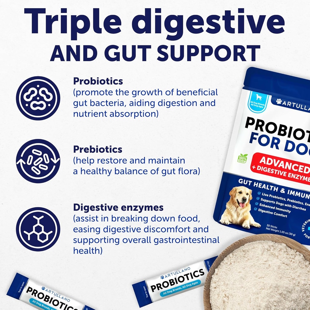 probiotics-for-dogs---support-gut-health-3.jpg