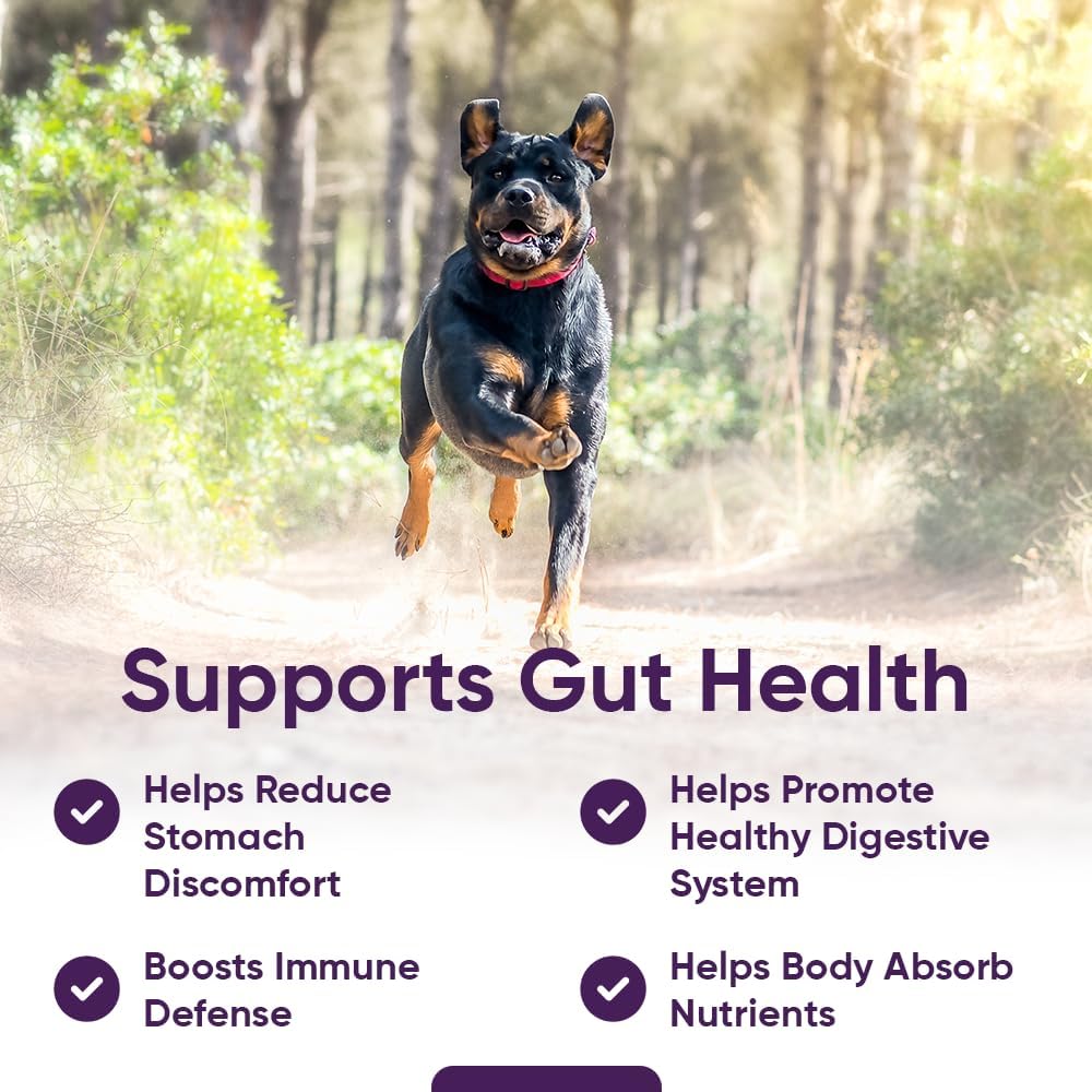 iheartdogs-3-in-1-probiotic-for-dogs-wit-3.jpg