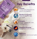 iheartdogs-3-in-1-probiotic-for-dogs-wit-4.jpg