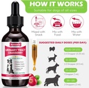 dog-uti-treatment-xsvseie-urinary-tract--6.jpg