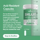 shilajit-capsules-1000mg-himalayan-shila-3.jpg