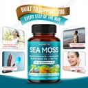 premium-sea-moss-supplement-with-black-s-4.jpg