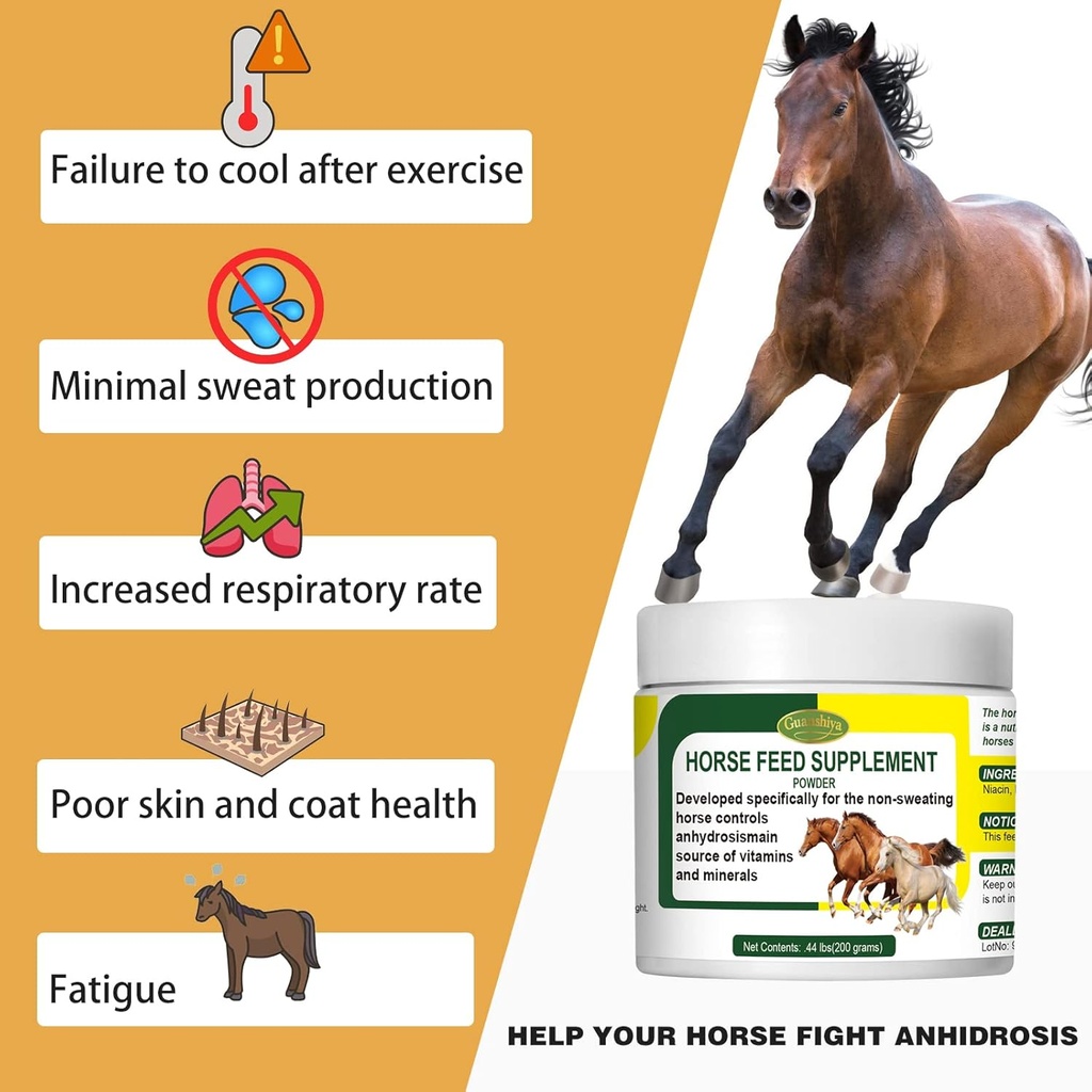 horse-non-sweating-treatment-promoting-h-2.jpg