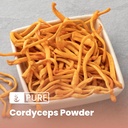 pure-original-ingredients-cordyceps-8oz--3.jpg