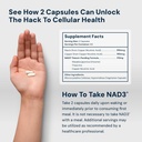hpn-nad3-clinical-nad-booster-cellular-h-3.jpg