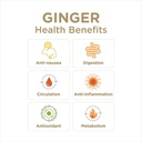 the-ginger-people-ginger-rescue-chewable-5.jpg