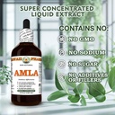 amla-alcohol-free-extract-glycerite-for--6.jpg