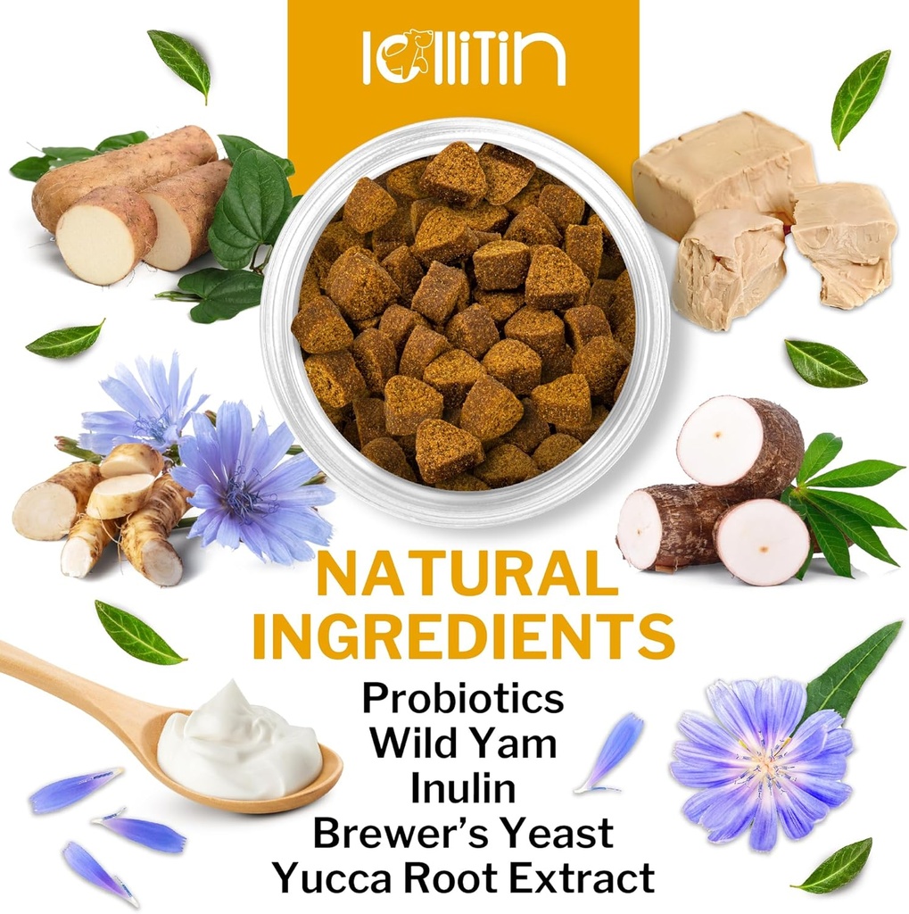 probiotics-for-dogs---support-gut-digest-3.jpg