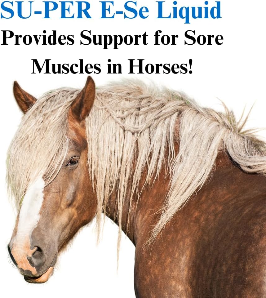su-per-e-se-horses-antioxidant-supplemen-3.jpg