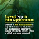 organic-iodine-2-lbs---nutritional-suppl-5.jpg