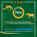trm-calphormin-nutrient-rich-horse-suppl-5.jpg