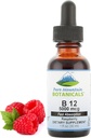 pure-mountain-botanicals-b12-vitamin-500-6.jpg