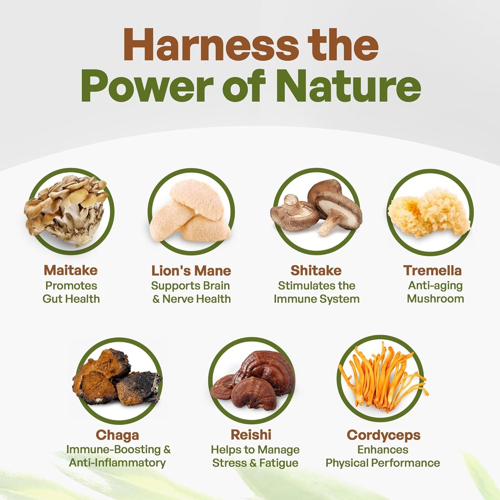 go-nutra---organic-7-mushroom-supplement-3.jpg