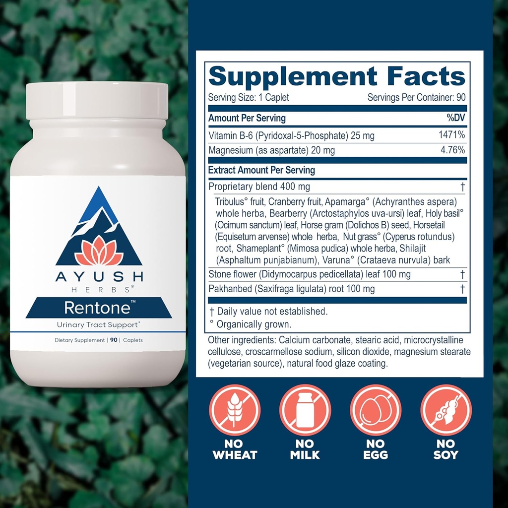 ayush-herbs-rentone---kidney-support-sup-3.jpg