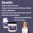 dogzymes-choline-aids-in-brain-function--2.jpg