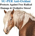 su-per-anti-oxidant-supplement-for-horse-2.jpg