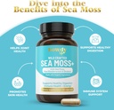 organic-irish-sea-moss-capsules---sea-mo-3.jpg