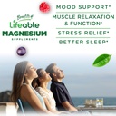 lifeable-magnesium-gummies-for-adults-90-3.jpg