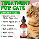 urinary-tract-for-cats-natural-cat-urina-4.jpg