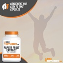 bulksupplementscom-papaya-fruit-extract--5.jpg