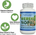 wereke-nopal-capsules-60-count-1000-mg-e-4.jpg