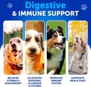 probiotics-for-dogs---support-gut-health-2.jpg