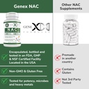 genex-formulas-nac-500mg-100-capsules-n--5.jpg