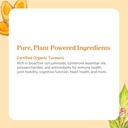 pure-synergy-superpure-turmeric-extract--5.jpg