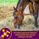 farnam-horse-health-red-cell-liquid-vita-5.jpg