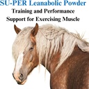 su-per-leanabolic-horse-muscle-supplemen-3.jpg