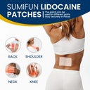 sumifun-4-lidocaine-pain-relief-patches--2.jpg