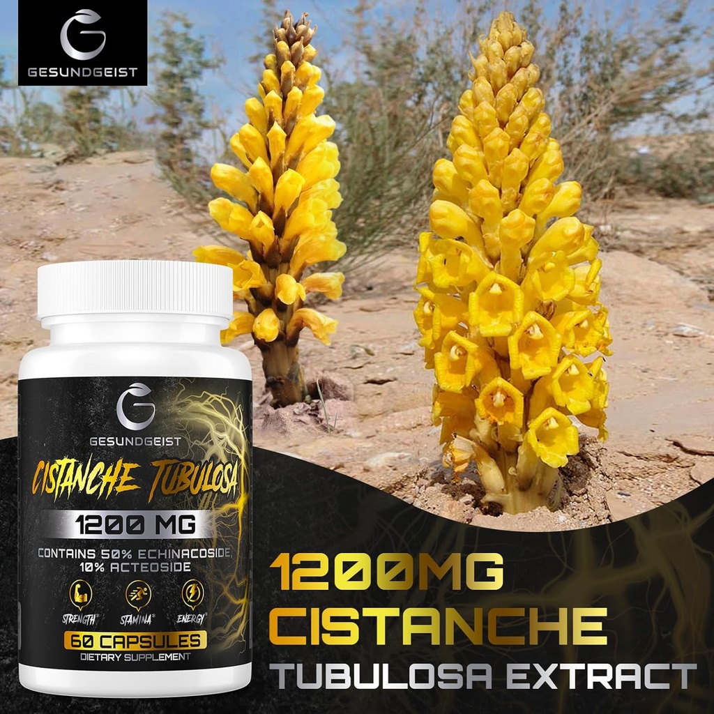 cistanche-tubulosa-extract--1200mg-per-s-4.jpg