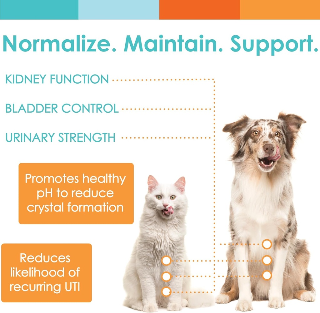 nusentia-utrin---urinary-support-for-cat-5.jpg