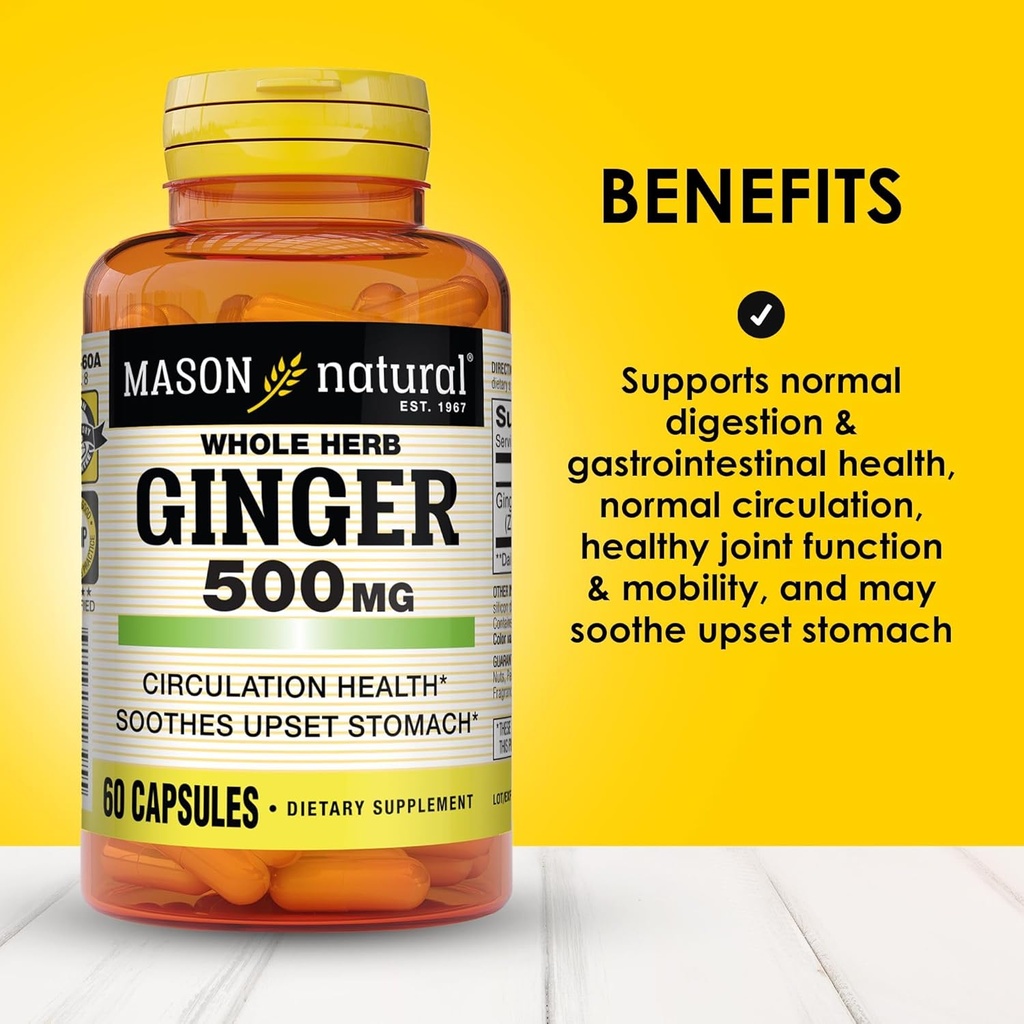mason-natural-whole-herb-ginger-500-mg-2-2.jpg